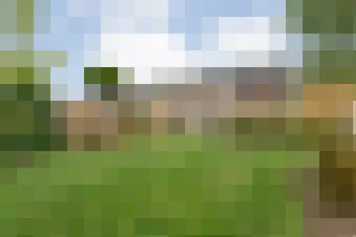 Slagerswerf 8 Dedemsvaart thumbnail 32
