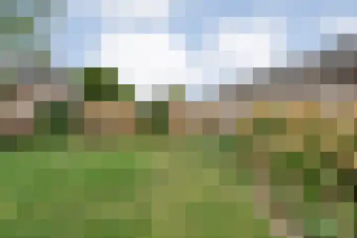 Slagerswerf 8 Dedemsvaart thumbnail 35