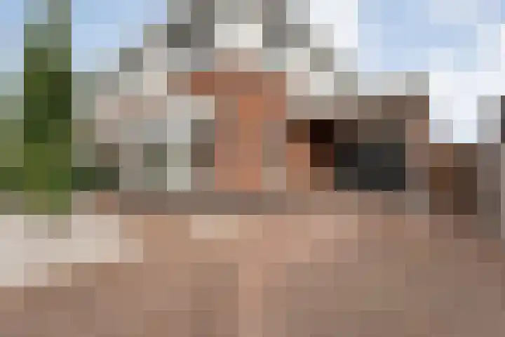 Slagerswerf 8 Dedemsvaart thumbnail 38