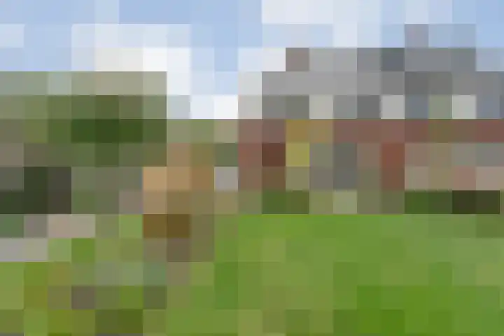 Slagerswerf 8 Dedemsvaart thumbnail 4