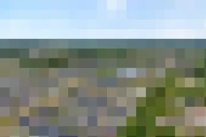 Slagerswerf 8 Dedemsvaart thumbnail 5