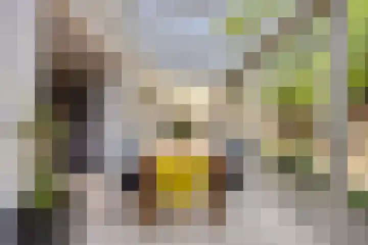 Slagharenerf 13 Tilburg thumbnail 14