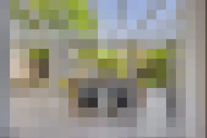 Slagharenerf 13 Tilburg thumbnail 15
