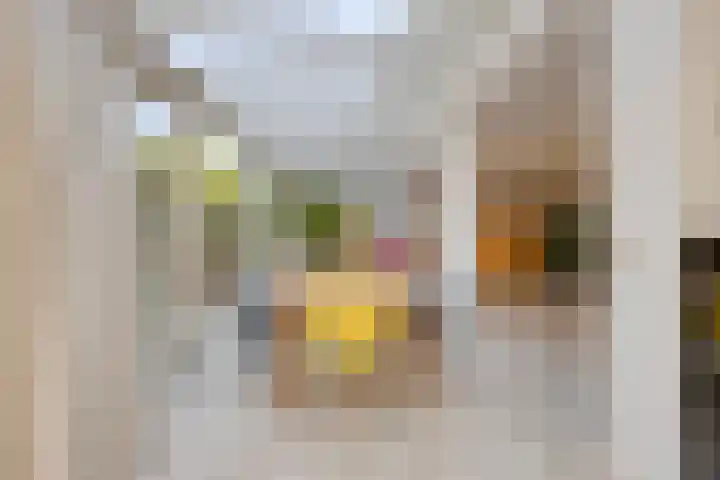 Slagharenerf 13 Tilburg thumbnail 16