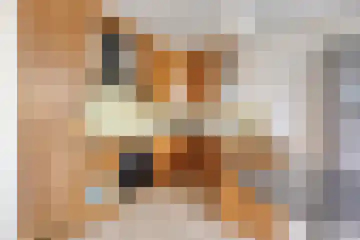 Slagharenerf 13 Tilburg thumbnail 17