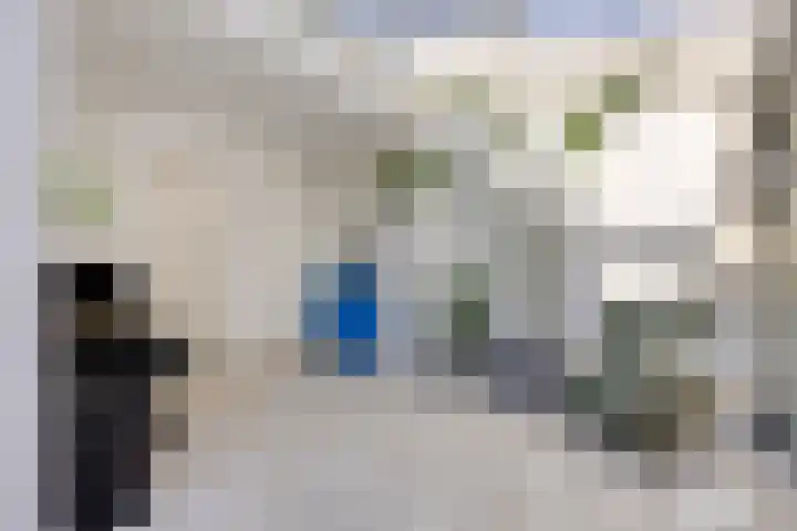 Slagharenerf 13 Tilburg thumbnail 18