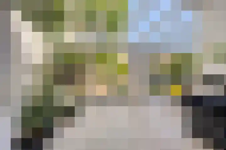 Slagharenerf 13 Tilburg thumbnail 19