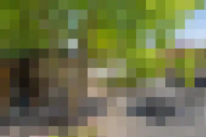 Slagharenerf 13 Tilburg thumbnail 29