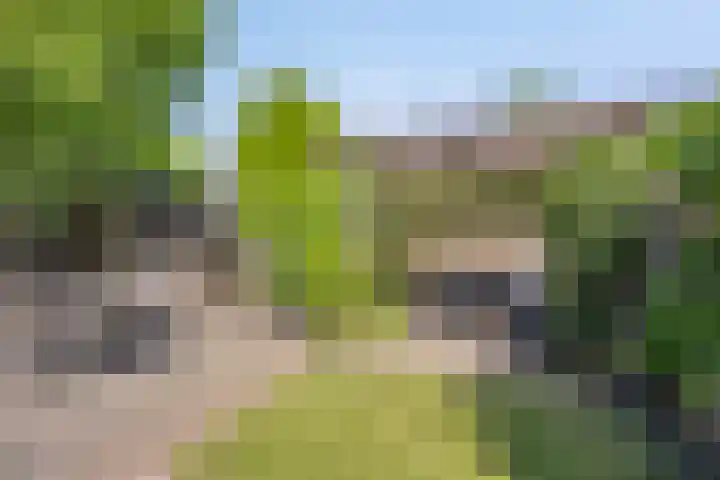 Slagharenerf 13 Tilburg thumbnail 30