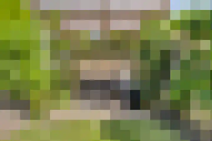 Slagharenerf 13 Tilburg thumbnail 31