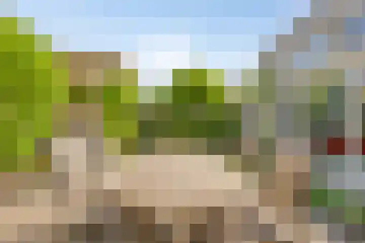 Slagharenerf 13 Tilburg thumbnail 32