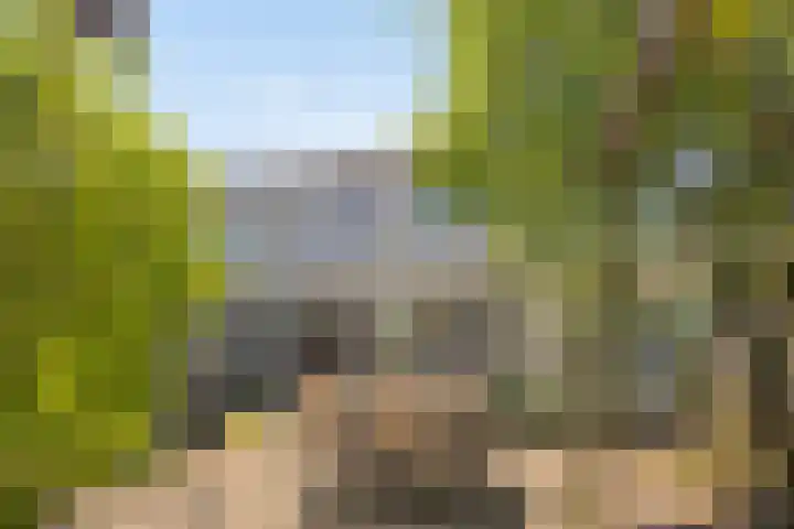 Slagharenerf 13 Tilburg thumbnail 34