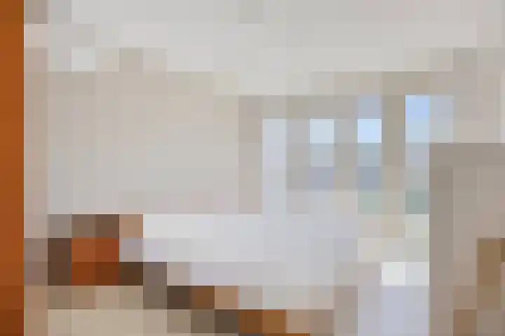 Slagharenerf 13 Tilburg thumbnail 4