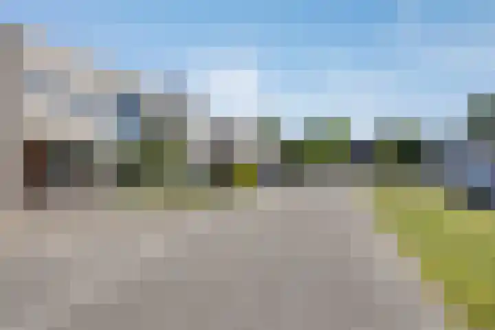 Slagharenerf 13 Tilburg thumbnail 8