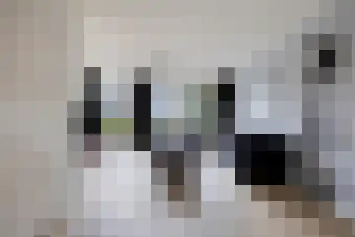 Slagharenerf 14 Tilburg thumbnail 15