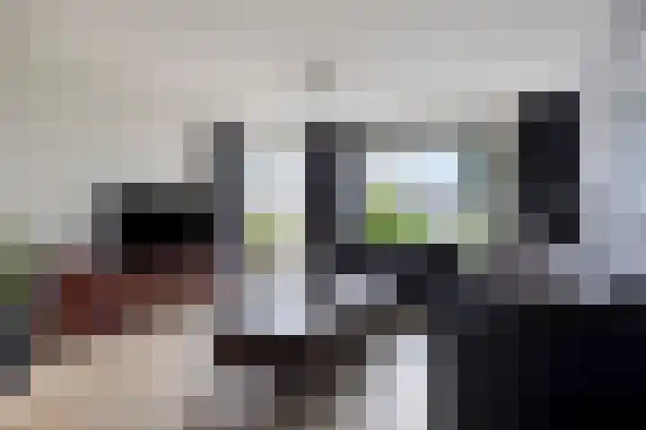 Slagharenerf 14 Tilburg thumbnail 16