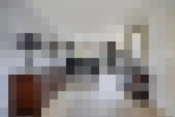 Slagharenerf 14 Tilburg thumbnail 18