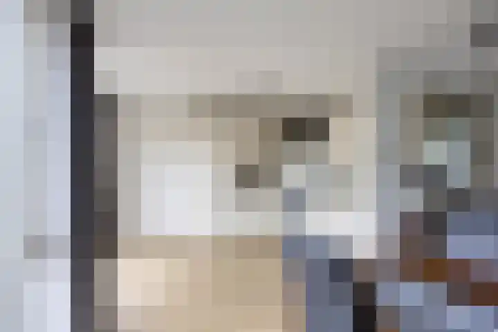 Slagharenerf 14 Tilburg thumbnail 21