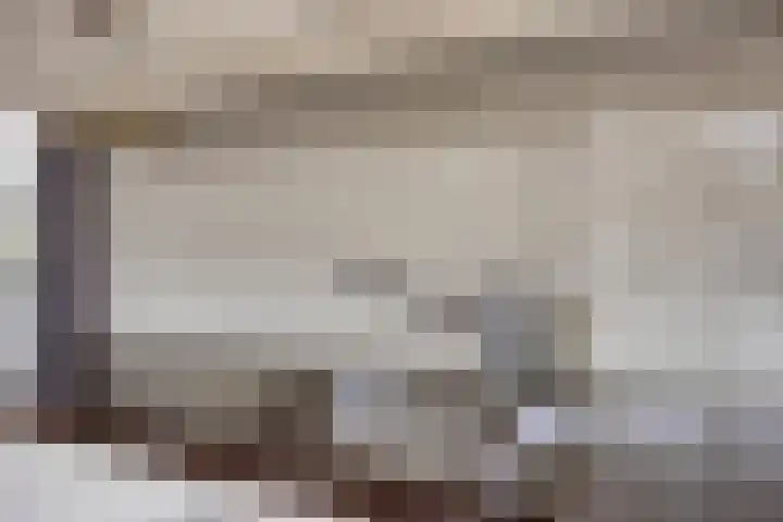 Slagharenerf 14 Tilburg thumbnail 23