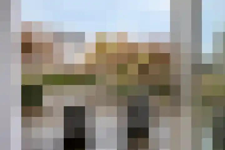 Slagharenerf 14 Tilburg thumbnail 27
