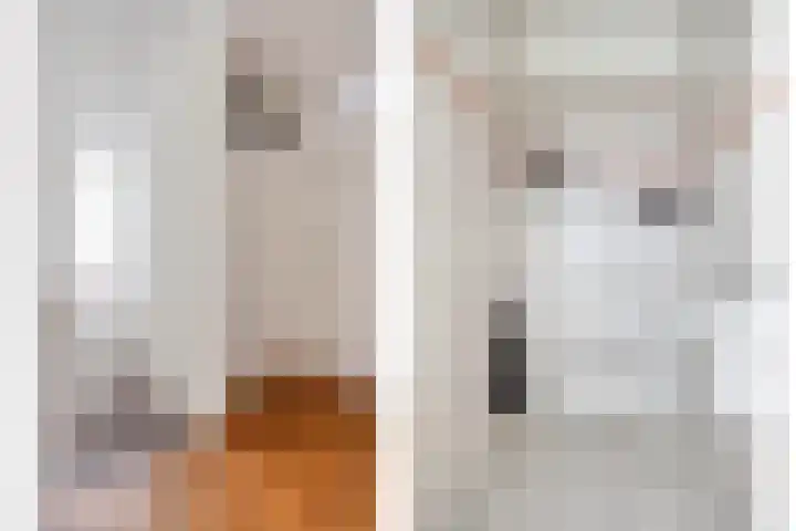 Slagharenerf 14 Tilburg thumbnail 31