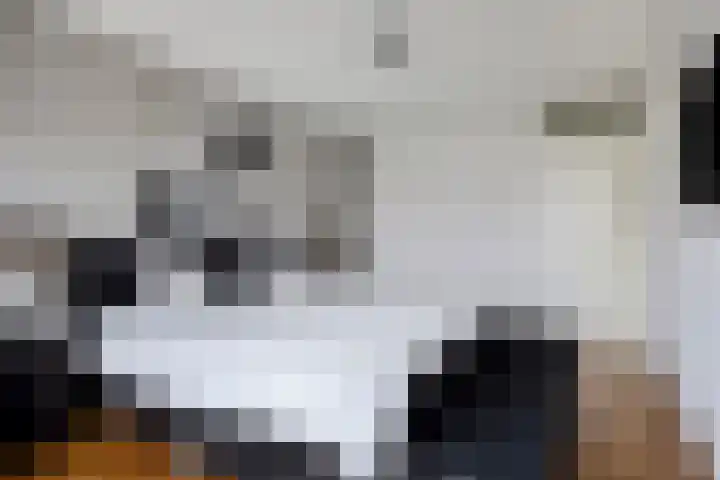 Slagharenerf 14 Tilburg thumbnail 32