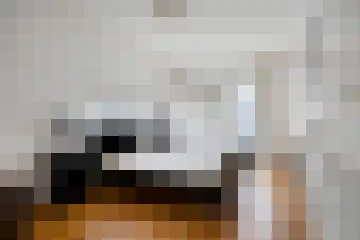Slagharenerf 14 Tilburg thumbnail 36