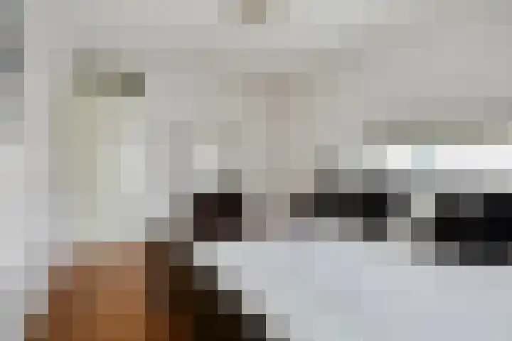 Slagharenerf 14 Tilburg thumbnail 37