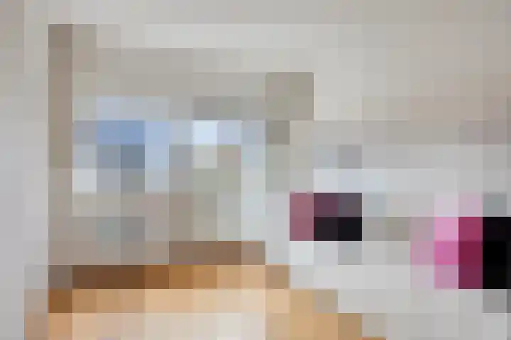 Slagharenerf 14 Tilburg thumbnail 38