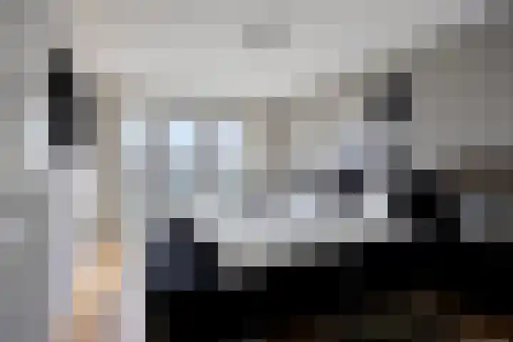 Slagharenerf 14 Tilburg thumbnail 4
