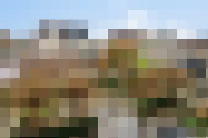 Slagharenerf 14 Tilburg thumbnail 42