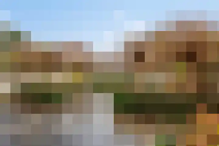 Slagharenerf 14 Tilburg thumbnail 43