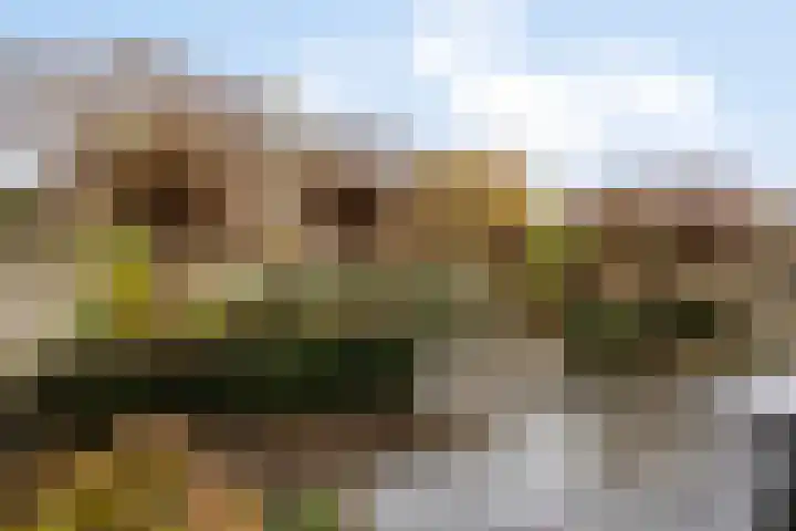 Slagharenerf 14 Tilburg thumbnail 44