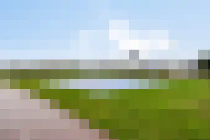 Slagharenerf 14 Tilburg thumbnail 50