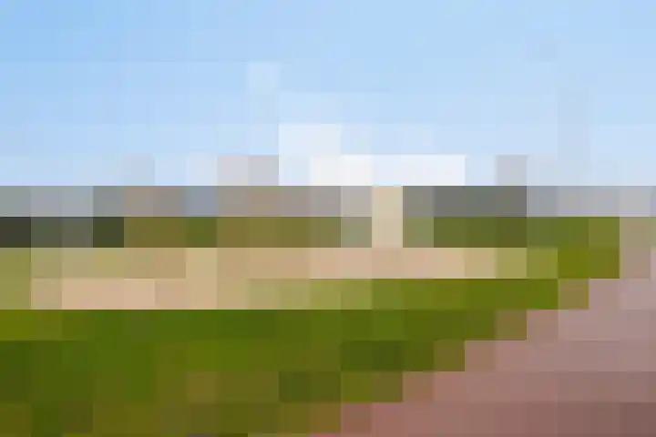 Slagharenerf 14 Tilburg thumbnail 51
