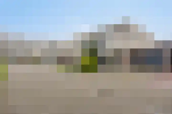 Slagharenerf 14 Tilburg thumbnail 7