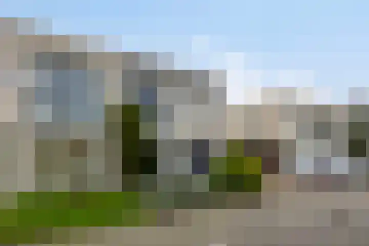 Slagharenerf 14 Tilburg thumbnail 9