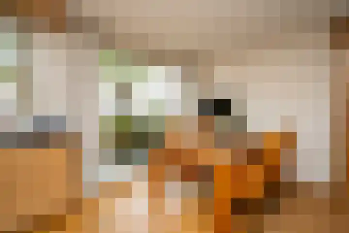 Slagharenerf 8 Tilburg thumbnail 13