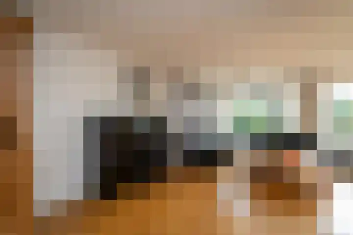 Slagharenerf 8 Tilburg thumbnail 14