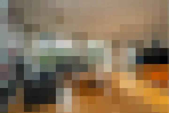 Slagharenerf 8 Tilburg thumbnail 15