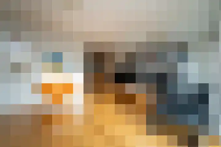 Slagharenerf 8 Tilburg thumbnail 17