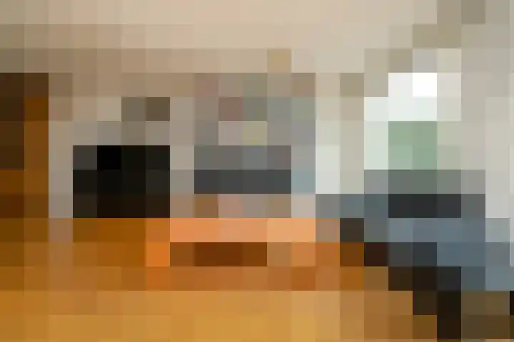Slagharenerf 8 Tilburg thumbnail 18