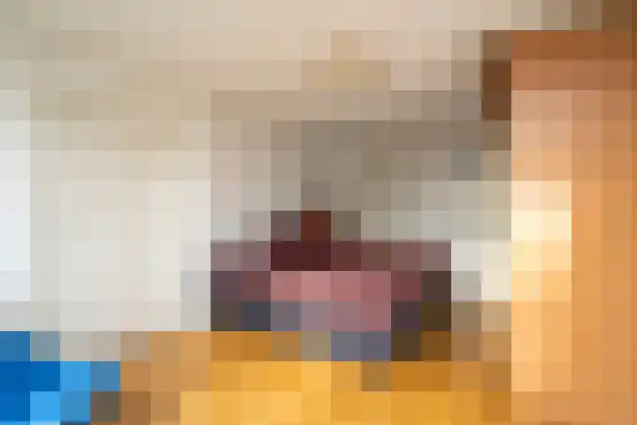 Slagharenerf 8 Tilburg thumbnail 19