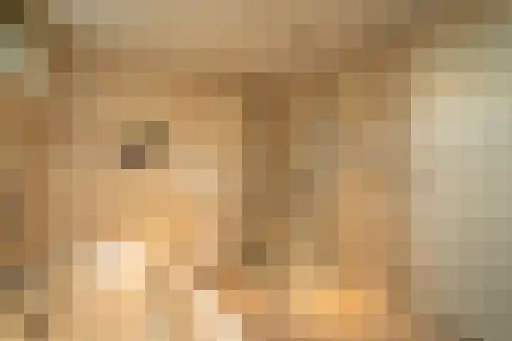 Slagharenerf 8 Tilburg thumbnail 24