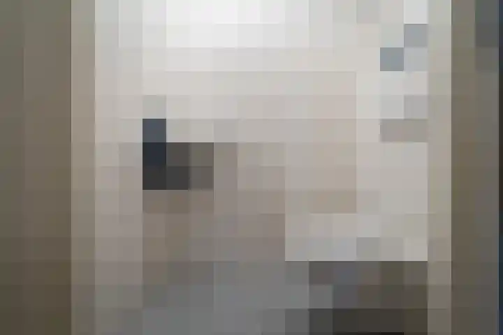 Slagharenerf 8 Tilburg thumbnail 26