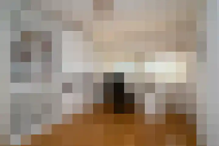 Slagharenerf 8 Tilburg thumbnail 35