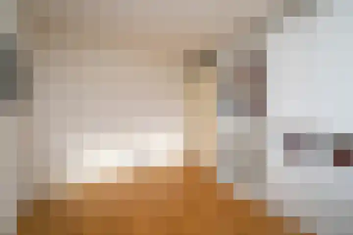 Slagharenerf 8 Tilburg thumbnail 36