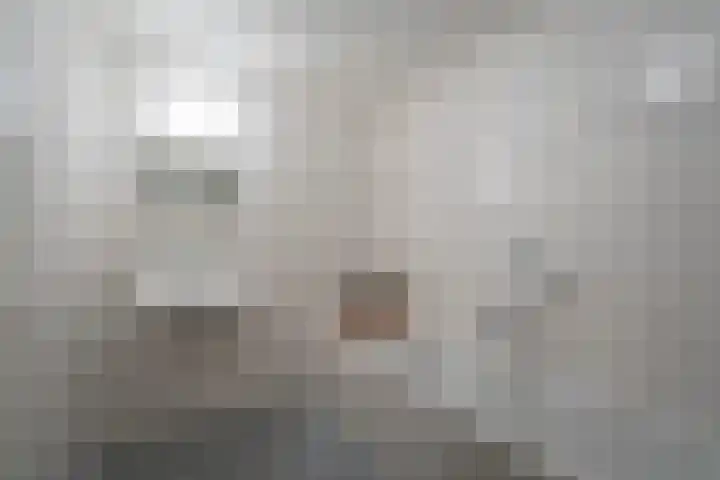Slagharenerf 8 Tilburg thumbnail 37