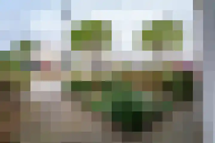 Slagharenerf 8 Tilburg thumbnail 4