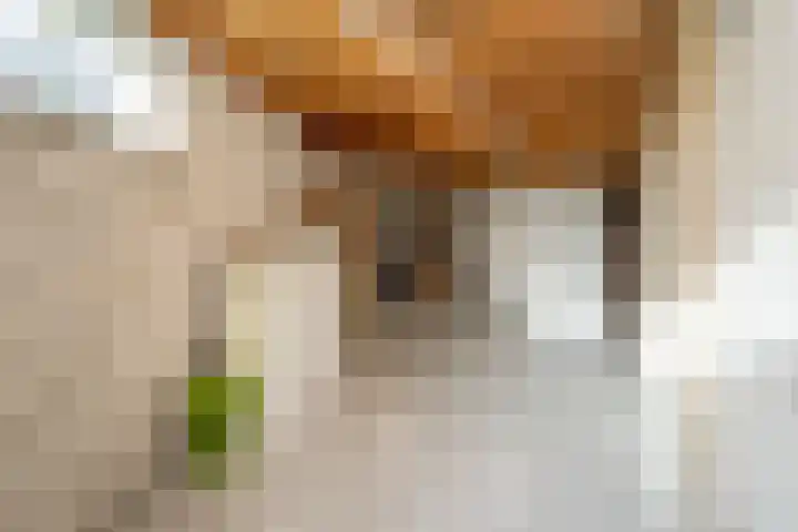 Slagharenerf 8 Tilburg thumbnail 40